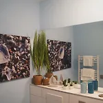Apartment Nordenham Lejlighed *